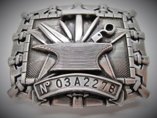 Schnalle Fashion  45mm (10900-45.1)