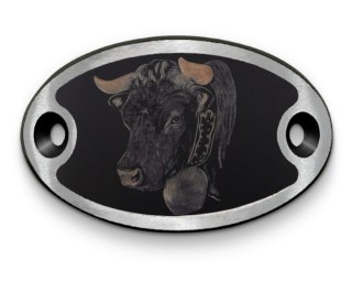 Schnalle Katy Eringerkopf (10900-40.81M.89)