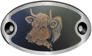 Schnalle Katy Simmentalerkopf (10900-40.81M.2)