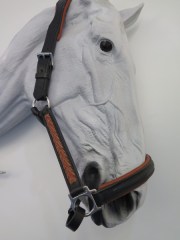 Stallhalfter Schwarz (14730.140)