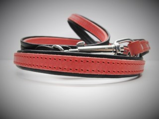 Dressurleine mit Futter 18mmx160cm