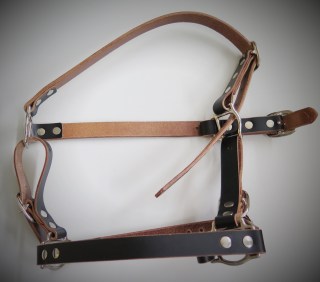 Halfter Emme für Kühe Schwarz