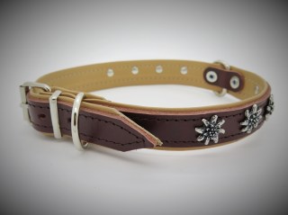 Halsband Edelweiss 25mm