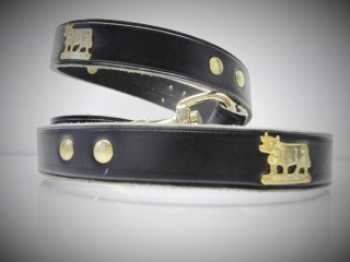 Kurzleine Appenzell B 23mmx110cm