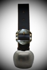 Weidetreichel Tschanz Kuh